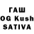 A PVP VHQ Ilia Kartsivadze